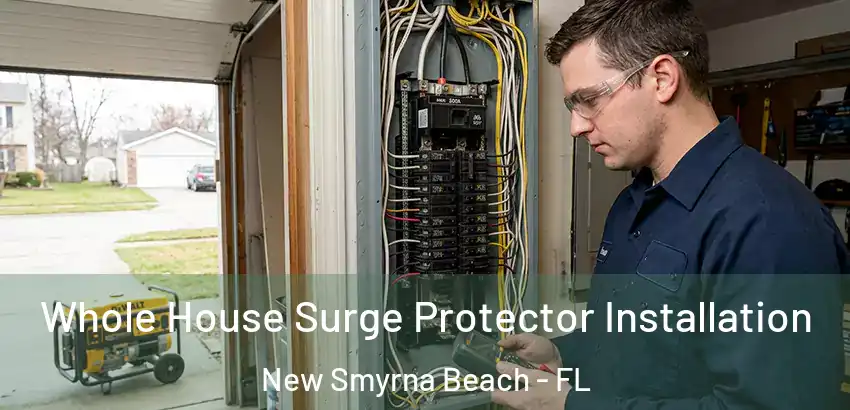 Whole House Surge Protector Installation New Smyrna Beach - FL